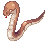 Snake Lord's Minion