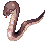 Snake Lord's Minion