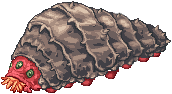 Graveworm