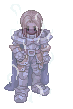 Paladin Randel