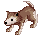Desert Wolf