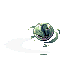 Lichtern