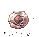 Lichtern