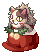 Socks Stealing Raccoon