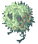 Swift Rafflesia