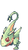 Swift Petite