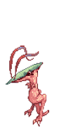 Elusive Novus