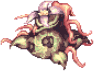 Solid Mandragora