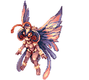 Swift Bloody Butterfly