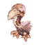 Condor