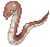 Anacondaq