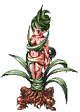 Dryad