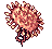 Sea Anemone